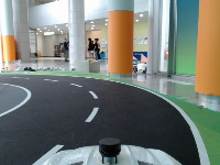 Dataset Image