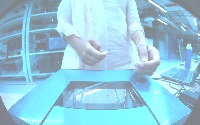 Dataset Image