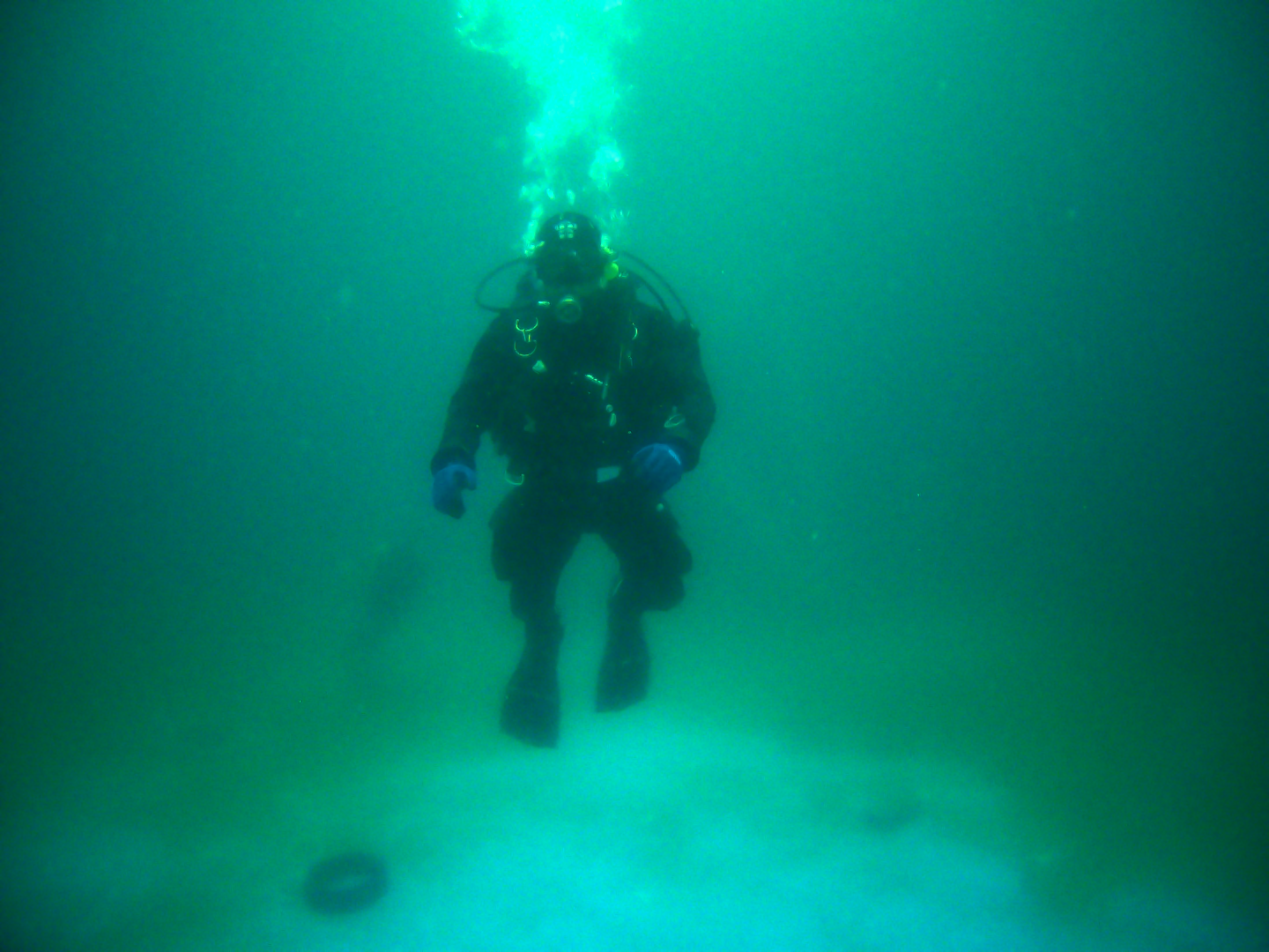 diver Object Detection Dataset by diver
