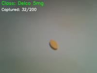 Dataset Image