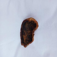 updated dataset unaugmented project thumbnail