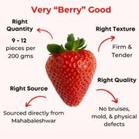 Strawberry Object Detection Model by TTNT 1222025 NHOM 4