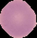 smaller parasite dataset project thumbnail
