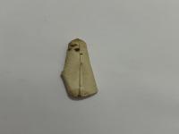Lemon laef project thumbnail