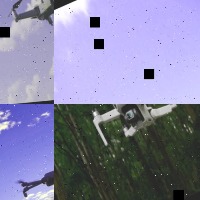 Dataset Image