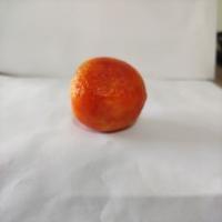 tomates project thumbnail