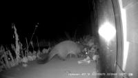 civet project project thumbnail