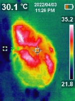 Dataset Image