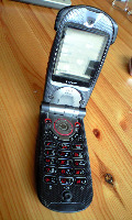 Dataset Image
