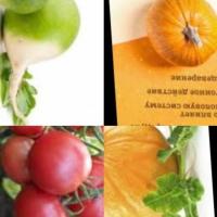 Combined Vegetables & Fruits project thumbnail