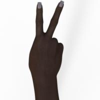 Detction Paper Rock Scissor project thumbnail