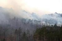 fire_smoke project thumbnail