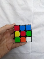 Dataset Image