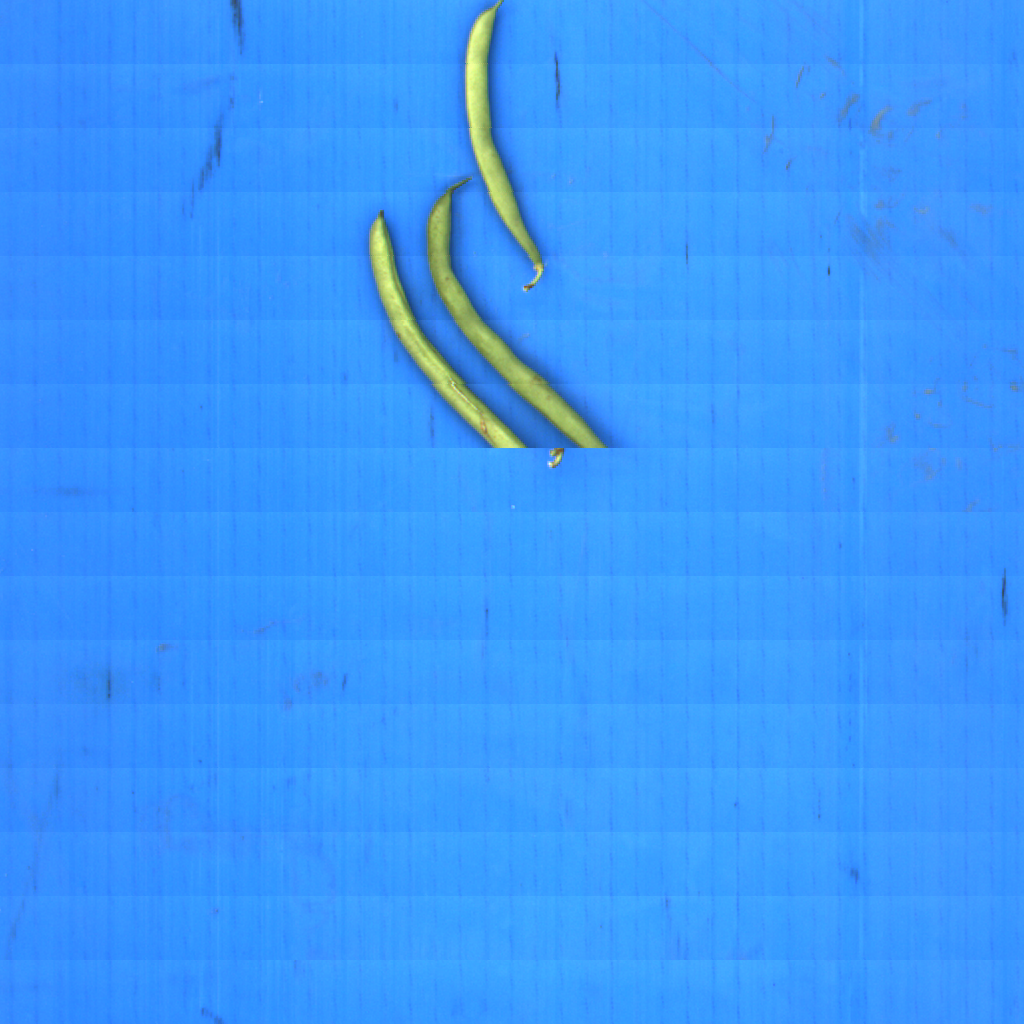 Beans Instance Segmentation Dataset by Beans
