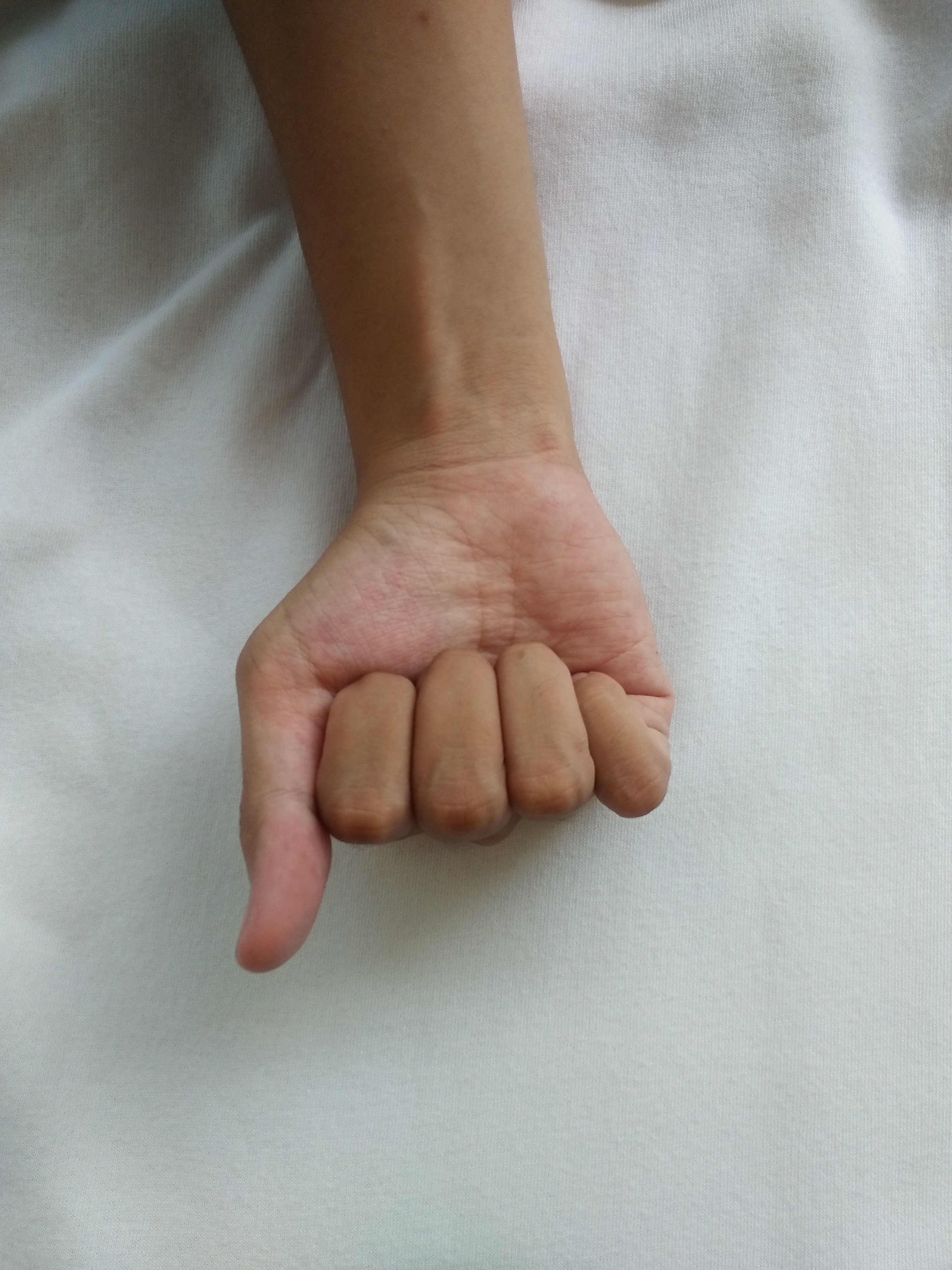 hand Detections - Roboflow Universe