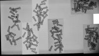 020625_114 project thumbnail