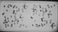 020625_116 project thumbnail