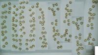 020625_108 project thumbnail