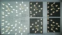 020625_112 project thumbnail