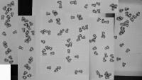 020625_110 project thumbnail