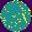 SCRATCH project thumbnail