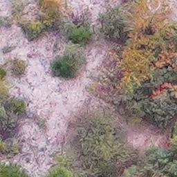 forest Object Detection Model by opencv
