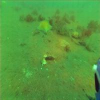 ocean project thumbnail