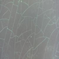 membrane project thumbnail