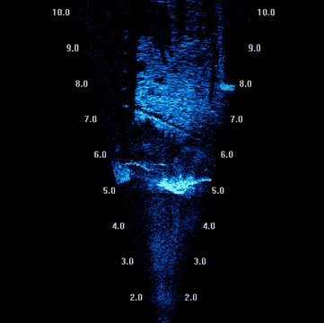 Diver Finder Object Detection Dataset by TCC