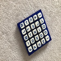 Dataset Image