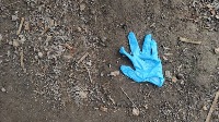 Wate Detection (Search on NET) project thumbnail