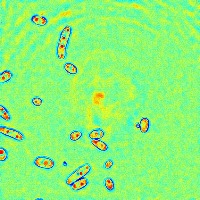 defi_challenge_opencv project thumbnail