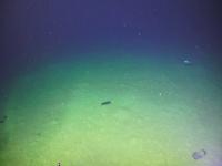 Cable transect awesomeness project thumbnail