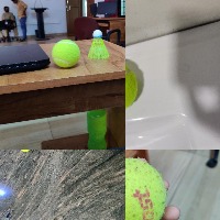 Dataset Image