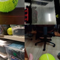 Dataset Image