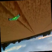 Dataset Image