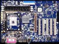 Dataset Image