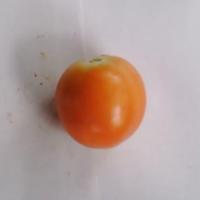 tomato 2 project thumbnail