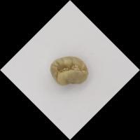this us project thumbnail