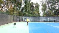 Tennis Ball project thumbnail