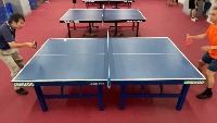 PingPong_Side_View project thumbnail