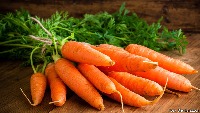 carrot project thumbnail