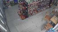 Dataset Image