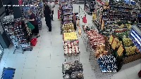 Dataset Image