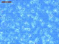 Find globule blanches and globule rouges project thumbnail