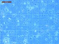 Find globule blanches and globule rouges 2 project thumbnail