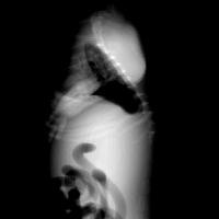 position detection project thumbnail
