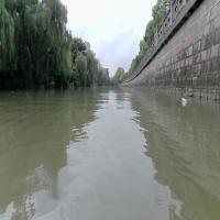 SCBV_UNKNOWN_CHENG_D21 project thumbnail