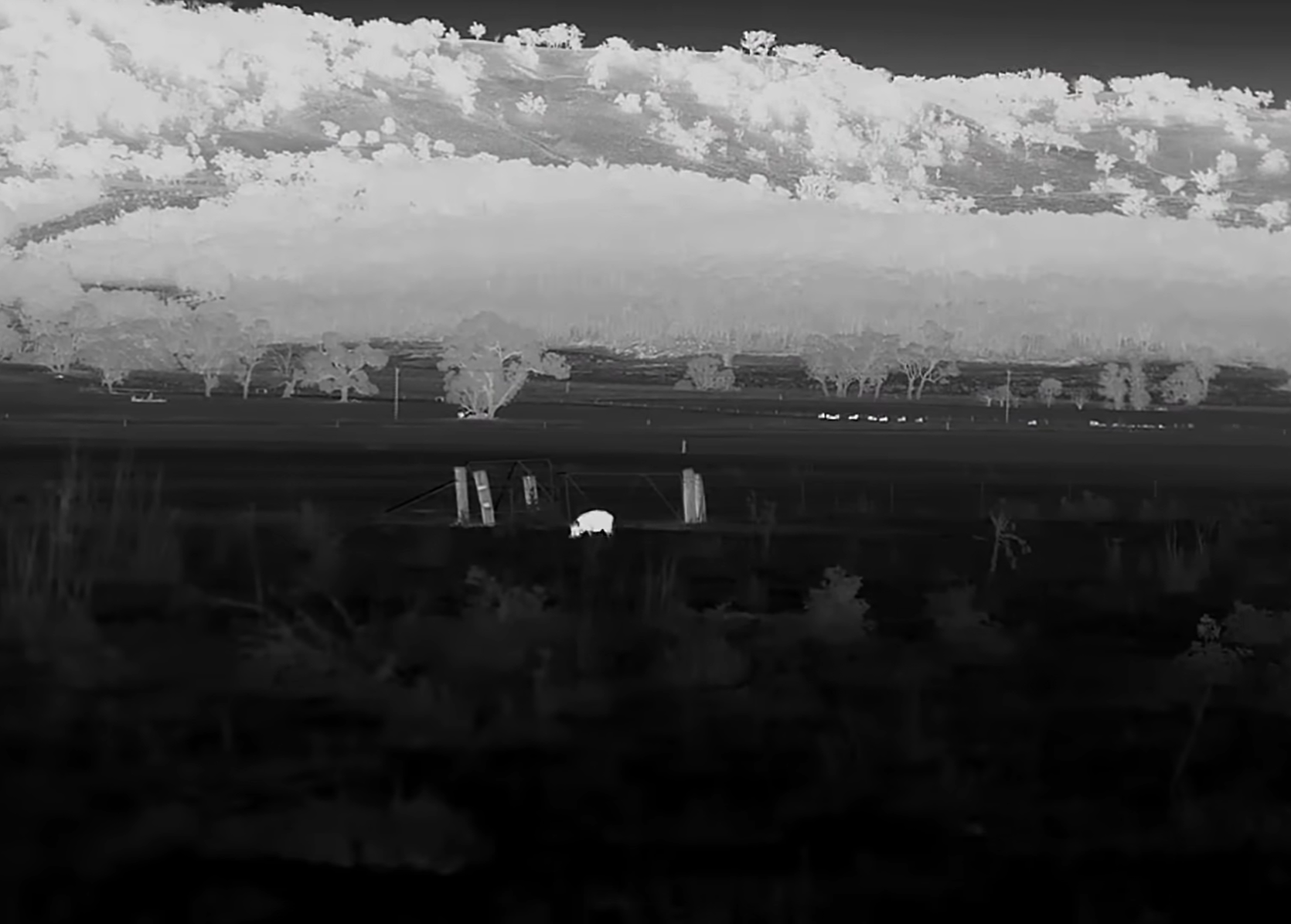Thermal Object Detection Model by Brian McRae's Workspace