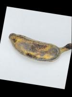 Saging project thumbnail